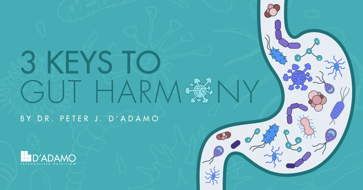 3 Keys to Gut Harmony by Dr. Peter J. D'Adamo