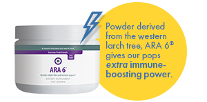 ARA 6 - Pure Larch Arabinogalactan 