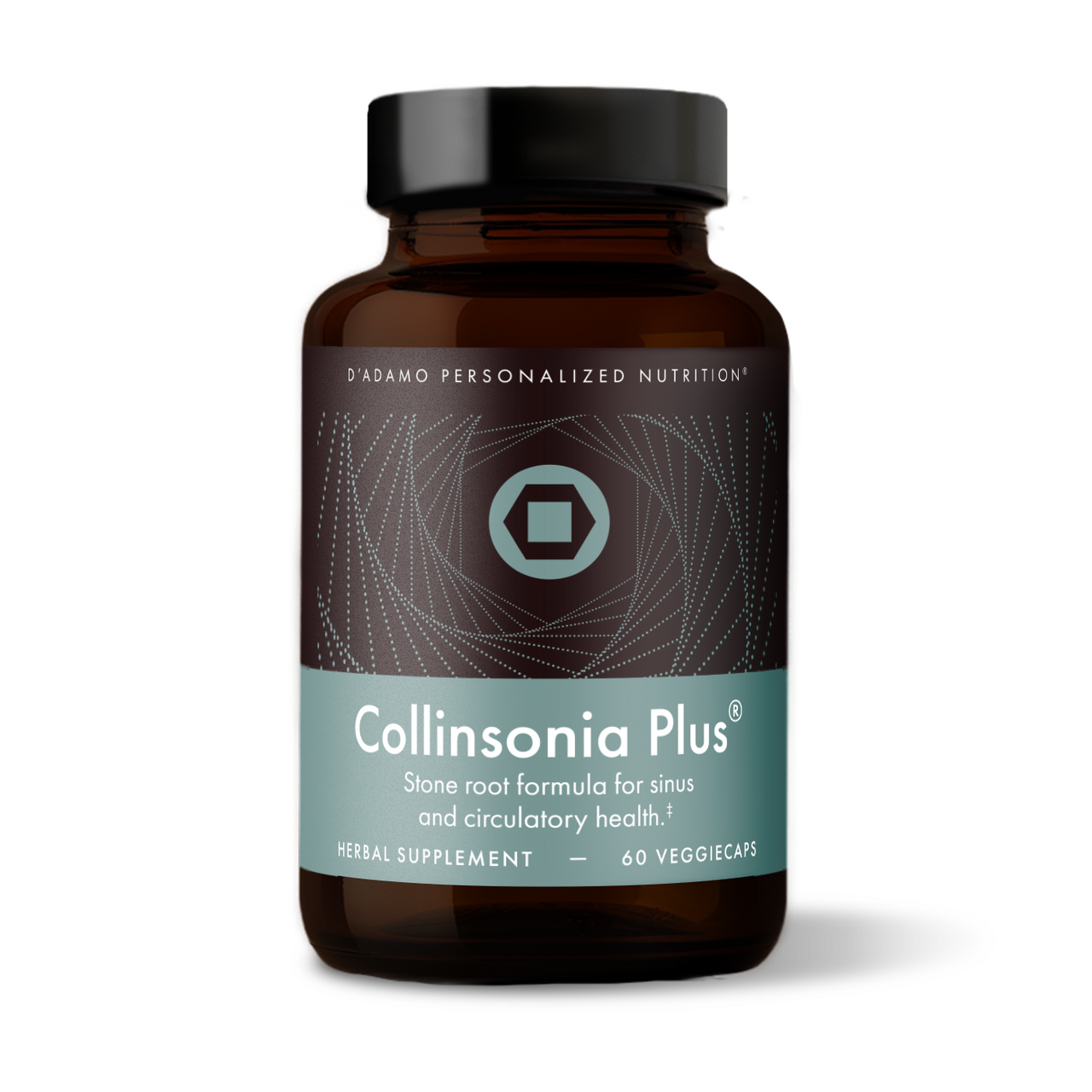 collinsonia-121023-center-panel-43370.png