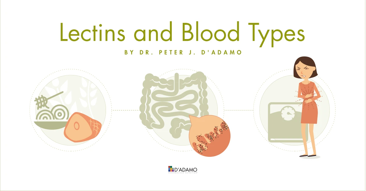 Lectins & Blood Types