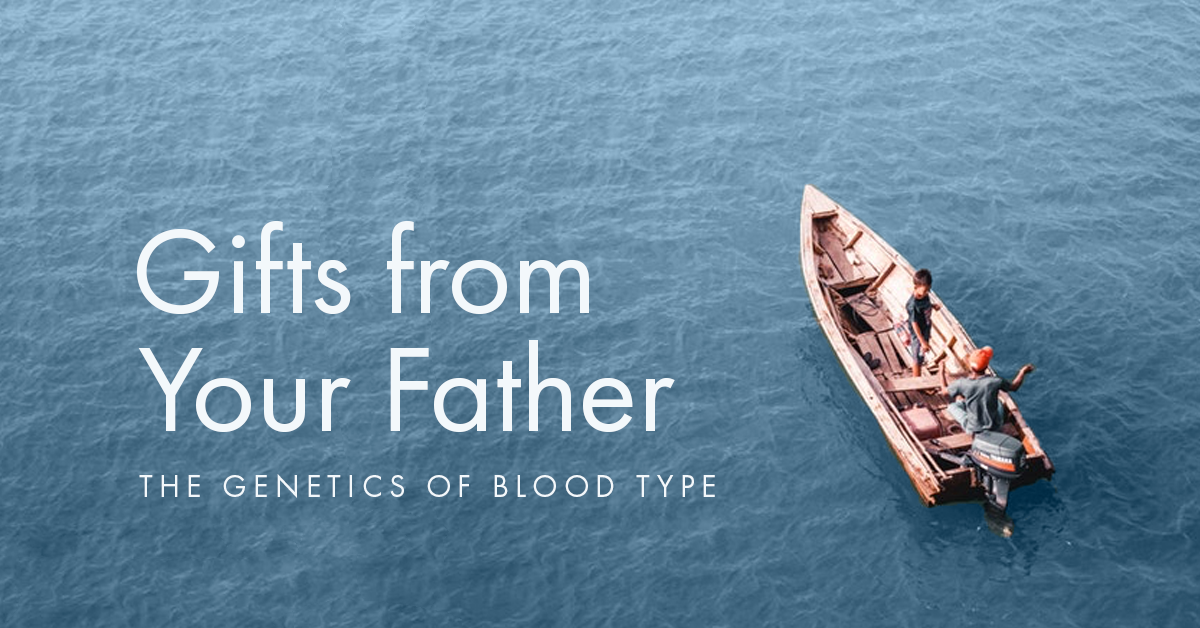 Gifts From Your Father The Genetics Of Blood Type D Adamo Personalized Nutrition Blood Type Diet Gifts From Your Father The Genetics Of Blood Type D Adamo Personalized Nutrition Blood Type Diet