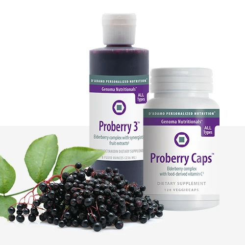 Elderberry antioxidants