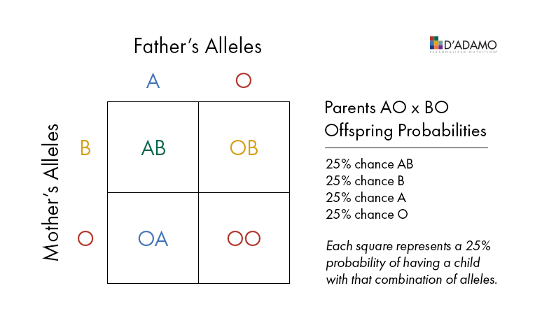 Blood Group Combination Chart